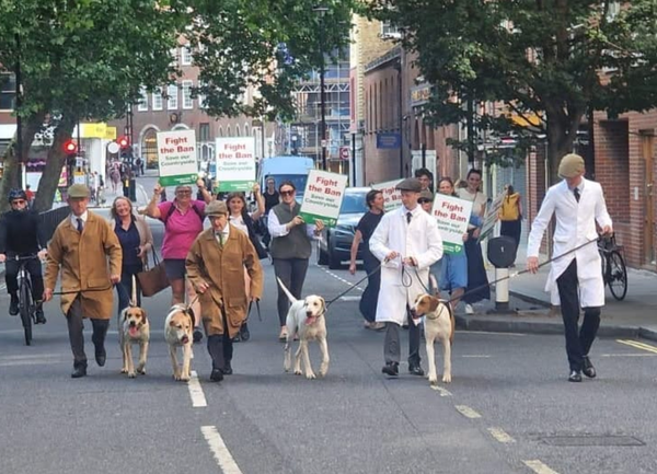 Hounds Descend on Westminster as Countryside Rejects Labour's Hunting Ban