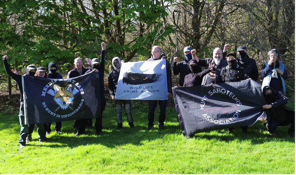 The Factions within the Hunt Saboteur Sphere